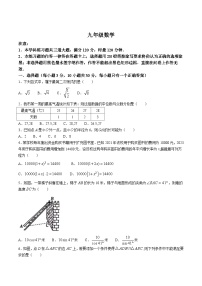 湖南省衡阳市蒸湘区2024届九年级下学期中考一模数学试卷(含答案)