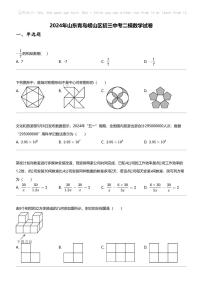 2024年山东青岛崂山区初三中考二模数学试卷