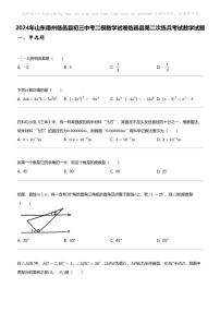 2024年山东德州临邑县初三中考二模数学试卷临邑县第二次练兵考试数学试题