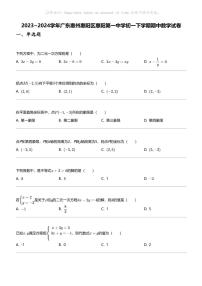 2023_2024学年广东惠州惠阳区惠阳第一中学初一下学期期中数学试卷