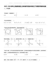 2023_2024学年上海浦东新区上海市建平实验中学初三下学期月考数学试卷