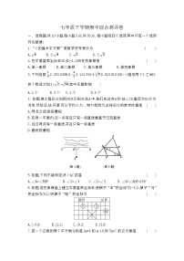 2023—2024学年人教版数学七年级下册期中综合测试卷