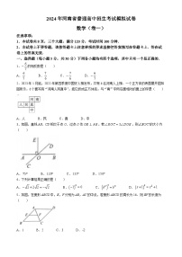 2024年河南省驻马店市确山县八校联考中考一模数学试题(无答案)