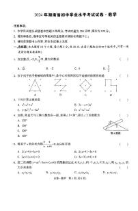 2024年湖南省初中学业水平考试试卷·数学（白卷）