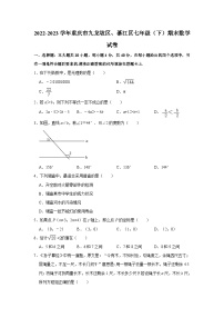 重庆市九龙坡区、綦江区2022-2023学年七年级下学期期末质量监测数学试题