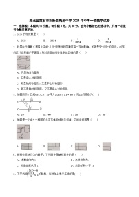 湖北省黄石市阳新县陶港中学2024年中考一模数学试卷