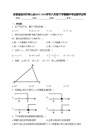 安徽省宿州市砀山县2023-2024学年八年级下学期期中考试数学试卷(含答案)