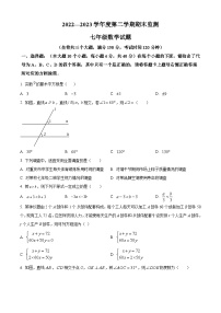 精品解析：重庆市2022-2023学年七年级下学期期末考试数学试题