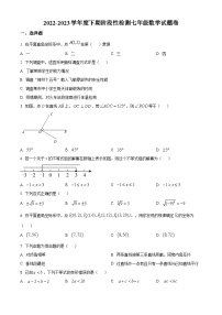 精品解析：重庆市巴南区2022-2023学年七年级下学期期末数学试题