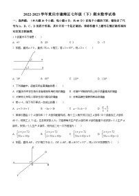 精品解析：重庆市潼南区2022-2023学年七年级期末数学试题