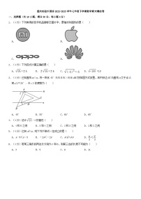 重庆实验外国语学校2022-2023学年七年级下学期数学期末模拟卷