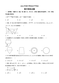 2024年四川省乐山市部分学校中考数学模拟试题（原卷版+解析版）