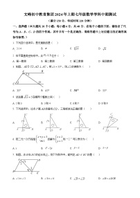 重庆市开州区文峰教育集团2023-2024学年七年级下学期4月期中数学试题（原卷版+解析版）