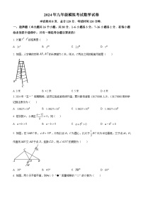 2024年河北省唐山市中考二模数学试题