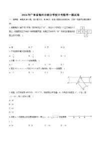 2024年广东省梅州市部分学校中考数学一模试卷