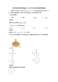 数学：江苏省盐城市亭湖区2024年中考模拟预测题（解析版）