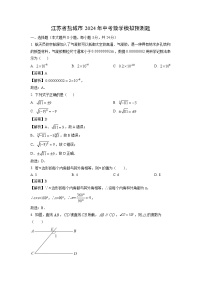 数学：江苏省盐城市2024年中考模拟预测题（解析版）