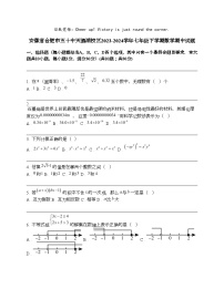 安徽省合肥市五十中天鹅湖校区2023-2024学年七年级下学期数学期中试题