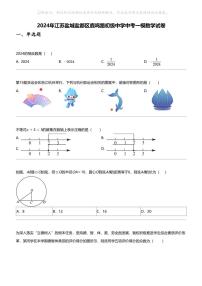 2024年江苏盐城盐都区鹿鸣路初级中学中考一模数学试卷