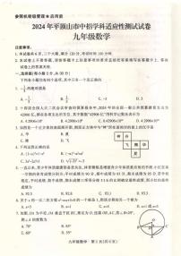 2024年河南省平顶山市九年级中考三模数学试题