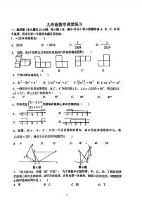 2024年安徽省合肥市第四十五中学九年级中考三模数学试题
