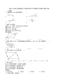 2023--2024学年人教版七年级数学下册相交线与平行线期末专项复习进阶训练