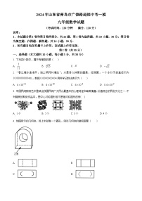 2024届山东省青岛市青岛超银中学中考一模数学试题及参考答案