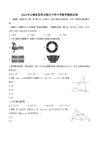 2024年云南省昆明市部分中学中考数学模拟试卷（含详细答案解析）