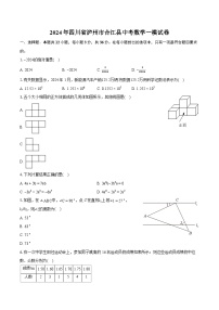 2024年四川省泸州市合江县中考数学一模试卷（含详细答案解析）