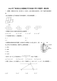 2024年广东省汕头市潮南区司马初级中学中考数学一模试卷（含详细答案解析）