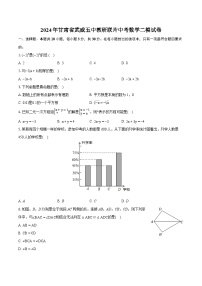 2024年甘肃省武威五中教研联片中考数学二模试卷（含详细答案解析）