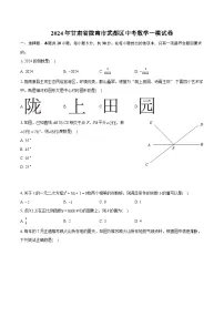 2024年甘肃省陇南市武都区中考数学一模试卷（含详细答案解析）