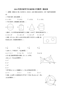 2024年贵州省毕节市金沙县中考数学一模试卷（含详细答案解析）