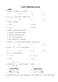 四川省泸州市2024年七年级下学期数学期末考试试卷附参考答案