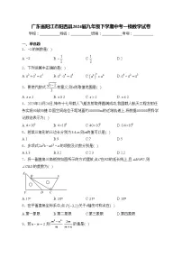 广东省阳江市阳西县2024届九年级下学期中考一模数学试卷(含答案)