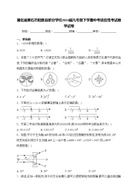 湖北省黄石市阳新县部分学校2024届九年级下学期中考适应性考试数学试卷(含答案)