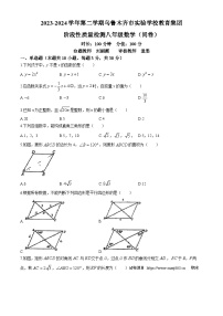 04，新疆维吾尔自治区乌鲁木齐市实验学校2023-2024学年八年级下学期期中数学试题(无答案)