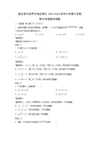 【数学】浙江省宁波市宁海县西片2023-2024学年七年级下学期期中考试试题（解析版）