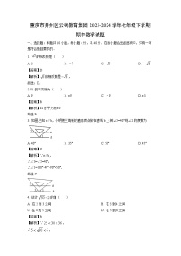 【数学】重庆市开州区云枫教育集团2023-2024学年七年级下学期期中试题（解析版）