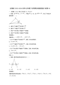 【数学】安徽省2023-2024学年七年级下学期期末模拟试卷01（解析版）