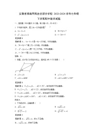 【数学】安徽省淮南市凤台县部分学校2023-2024学年七年级下学期期中试题（解析版）