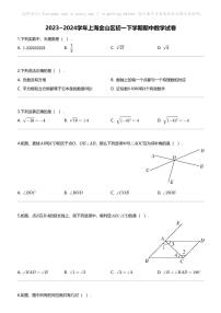 2023_2024学年上海金山区初一下学期期中数学试卷