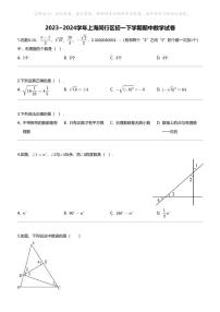 2023_2024学年上海闵行区初一下学期期中数学试卷