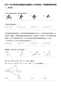 2023~2024学年四川成都金牛区成都市十八中学校初一下学期期中数学试卷