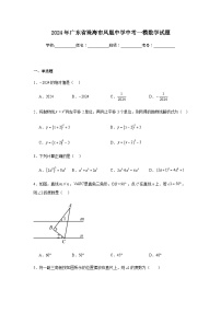 2024年广东省珠海市凤凰中学中考一模数学试题