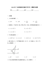 2024年广东省珠海市凤凰中学中考一模数学试题