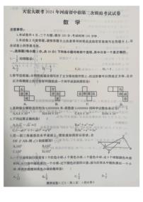 2024年河南省驻马店市中考三模数学试题
