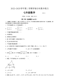 山东省泰安市泰山外国语学校（五四制）2022-2023学年七年级下学期3月月考数学试卷(含答案)