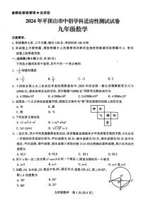 2024年河南省平顶山市九年级中考三模数学试题