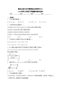 黑龙江省大庆市肇源县五校联考2023-2024学年七年级下学期期中数学试卷(含答案)